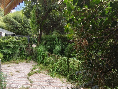 3室2廳1陽臺 理想小鎮(zhèn)自家花園