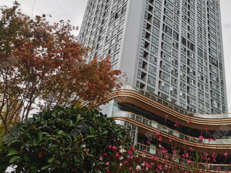 4室2廳2陽臺 金地十一峯其他