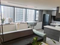 2室2廳1陽臺 巫家壩金茂廣場公寓客廳