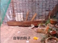 2室1廳1陽臺(tái) 虹山新村自家花園