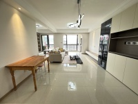 3室1廳1陽臺 大華公園天下時光園客廳