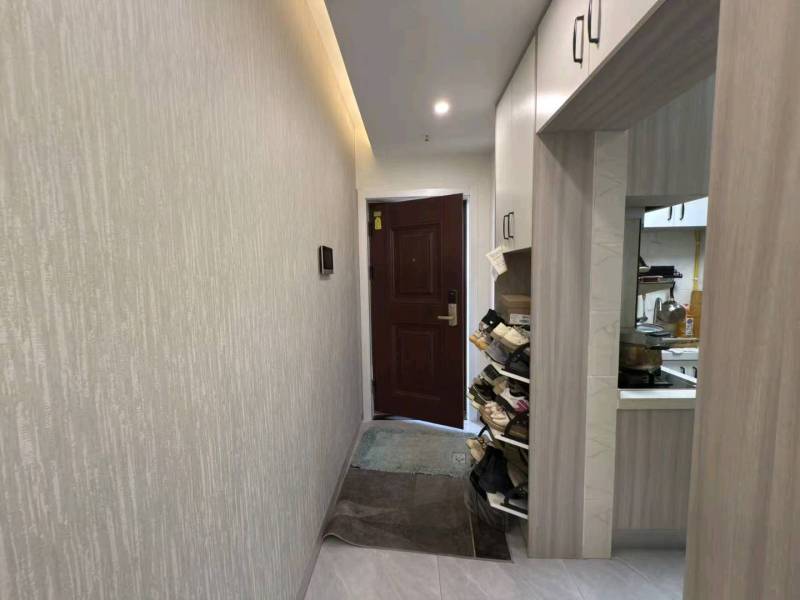 2室2廳1陽臺 大華公園天下時光園門廳