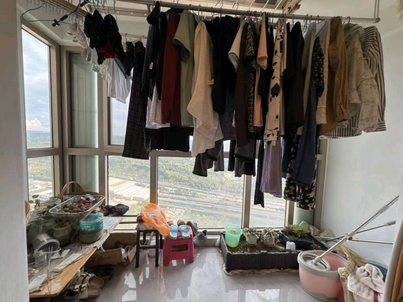 2室2廳1陽臺 大華公園天下時光園陽臺