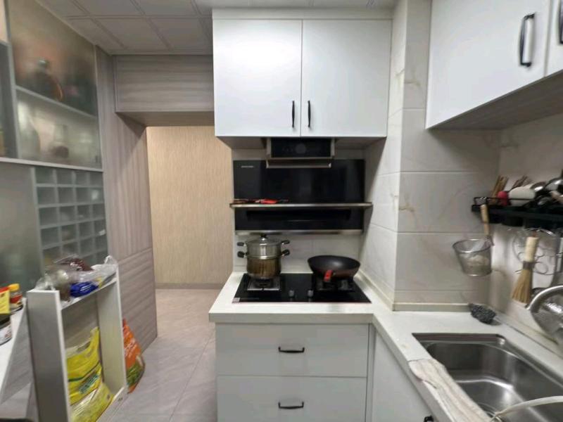 2室2廳1陽臺 大華公園天下時光園廚房