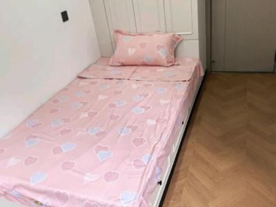 3室1廳 董家灣冷凍廠單位房