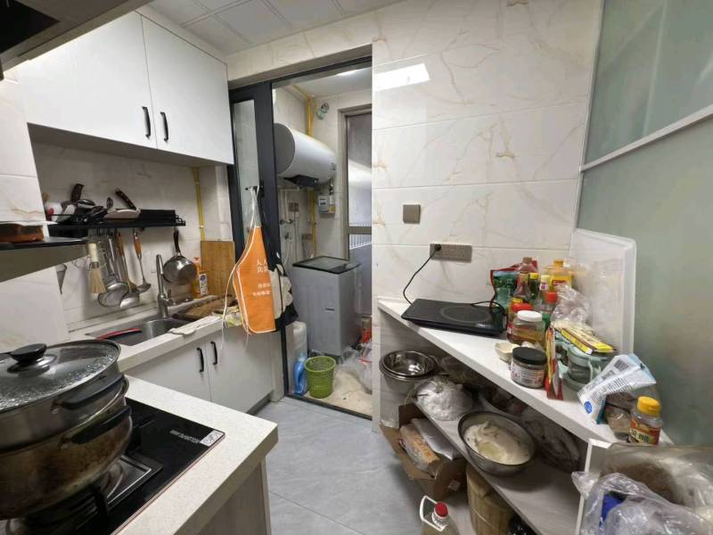 2室2廳1陽臺 大華公園天下時光園廚房