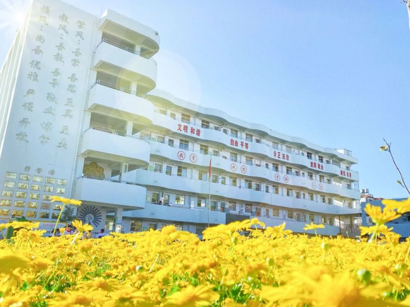 鸣泉小学图片
