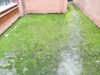 5室3廳3陽臺 云大知城一期別墅陽臺