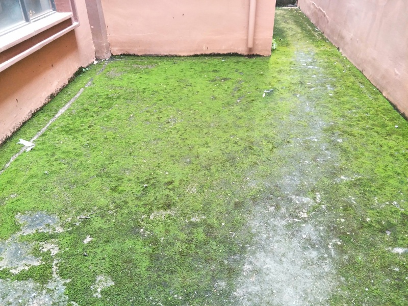 5室3廳3陽臺 云大知城一期別墅陽臺