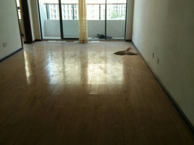 3室2廳1陽(yáng)臺(tái) 葡萄街區(qū)天宇花園