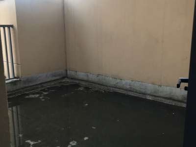 5室1廳2陽臺(tái) 中洲陽光