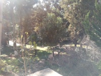 3室2廳 冶金?？茖W(xué)校教職工住宅區(qū)自家花園