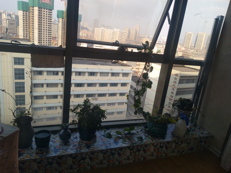 1室1厅1阳台 香樟俊园二期户型图