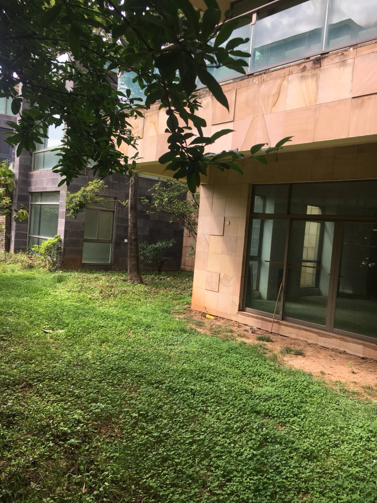 6室3廳3陽臺(tái) 公園道一號(hào)別墅客廳