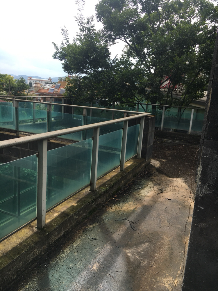 6室3廳3陽臺(tái) 公園道一號(hào)別墅客廳