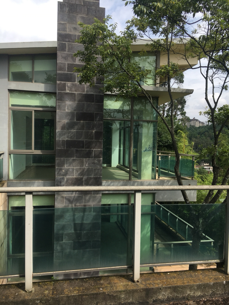 6室3廳3陽臺(tái) 公園道一號(hào)別墅客廳