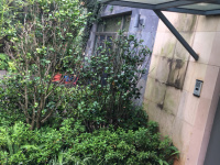 6室3廳3陽臺(tái) 公園道一號(hào)別墅餐廳