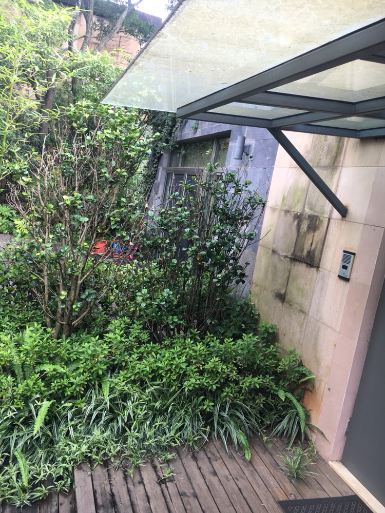 6室3廳3陽臺(tái) 公園道一號(hào)別墅餐廳