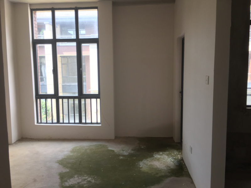 4室2廳3陽臺 招商海公館別墅客廳