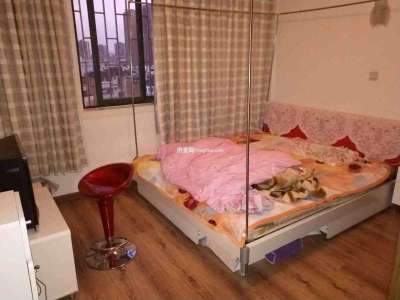 3室2廳2陽(yáng)臺(tái) 金庭小區(qū)