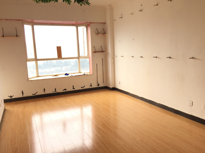 1室1廳1陽(yáng)臺(tái) 江東花城公寓客廳