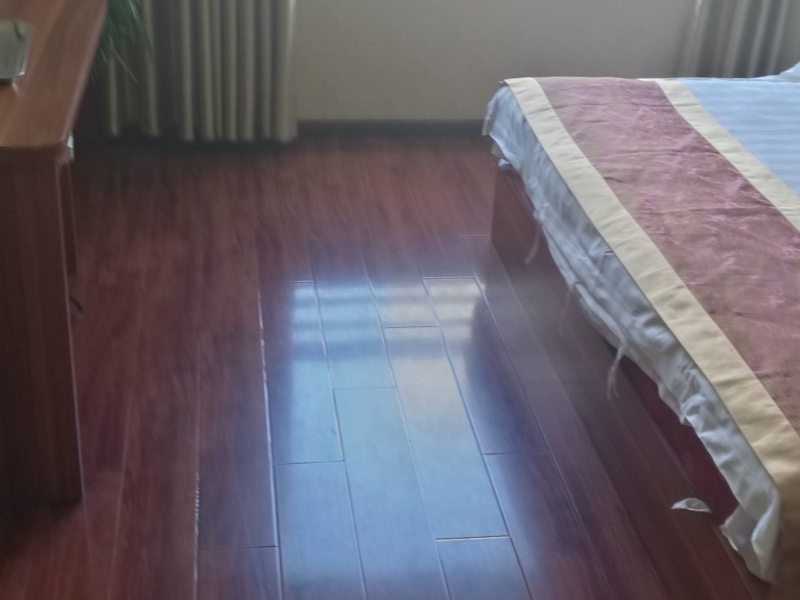 金领时代客厅