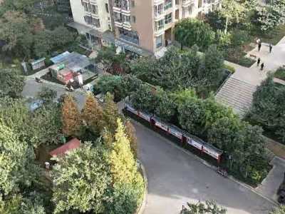 3室2廳1陽臺 金曇花園