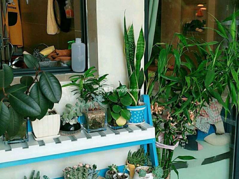 4室2廳2陽臺 濱江俊園萊茵組團自家花園