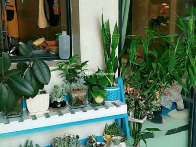 4室2廳2陽臺 濱江俊園萊茵組團