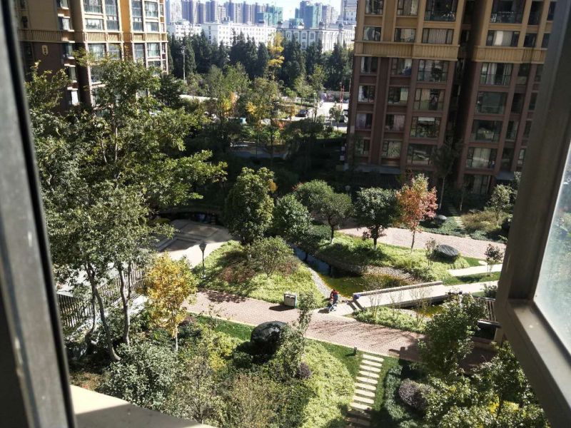 丽阳星城二期A2地块自家花园