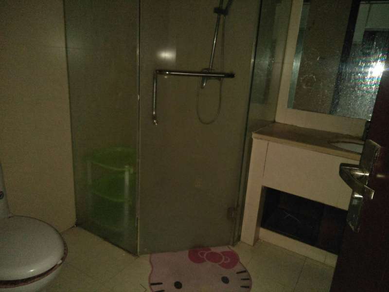 1室1廳1陽臺 和諧世紀(jì)衛(wèi)生間