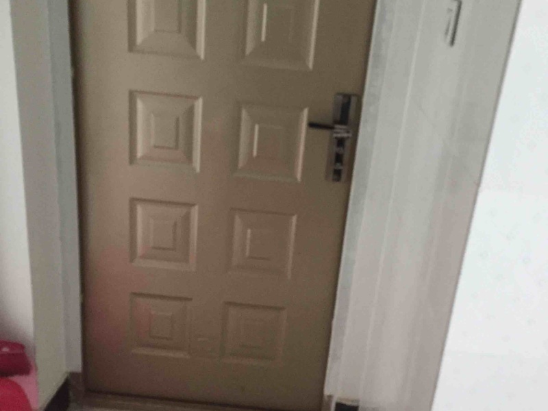 1室1陽臺 世紀俊園門廳