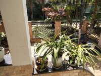 6室2廳3陽臺(tái) 佳湖花園別墅客廳