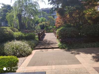 4室2廳2陽臺(tái) 金岸春天