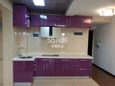 2室2廳1陽(yáng)臺(tái) 天元居