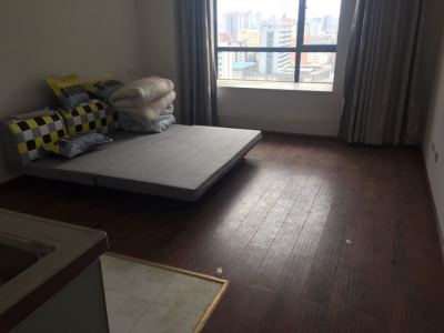 1室1廳1陽(yáng)臺(tái) 大觀首府