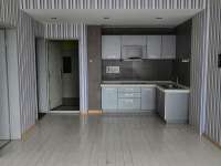 1室1廳 北辰財富中心客廳