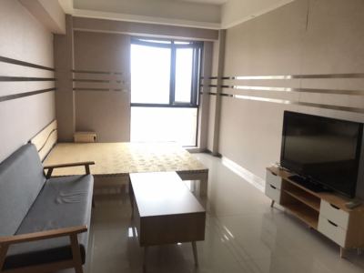 1室1廳1陽臺 協(xié)信天地