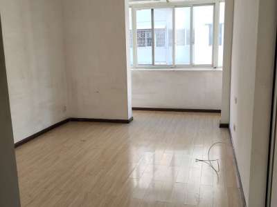 2室1廳1陽(yáng)臺(tái) 巡津新村20號(hào)