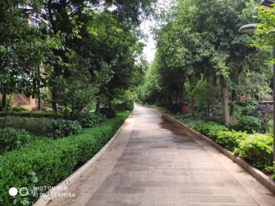 4室2廳2陽臺(tái) 金岸春天