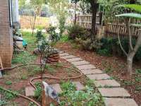 4室3廳4陽(yáng)臺(tái) 滇池衛(wèi)城紫廬別墅其他