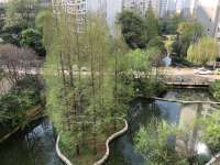 5室2廳2陽臺 云南映象C區(qū)客廳