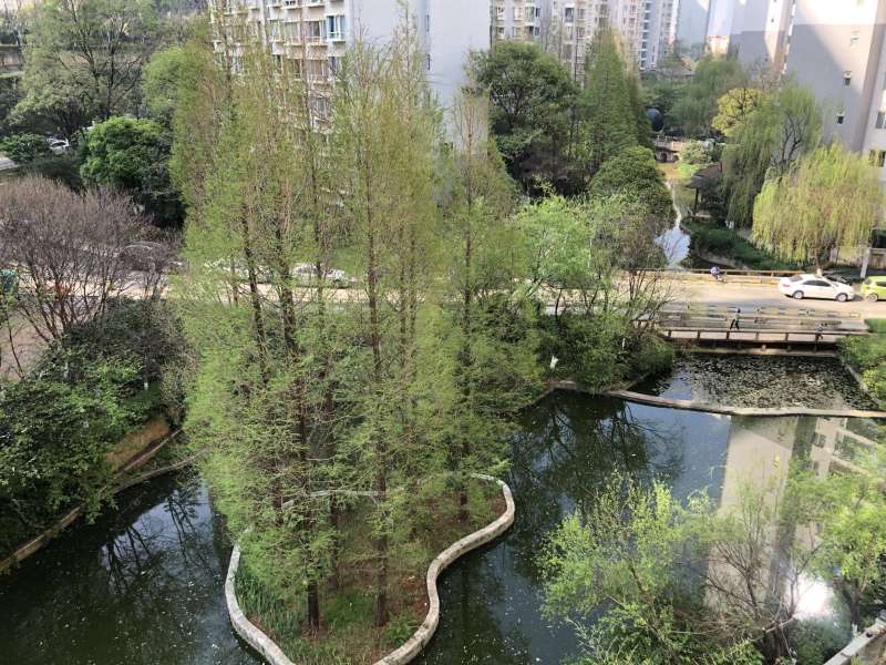 5室2廳2陽臺 云南映象C區(qū)客廳