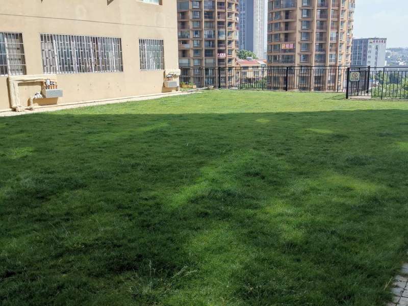 3室2廳2陽臺 建工新城自家花園