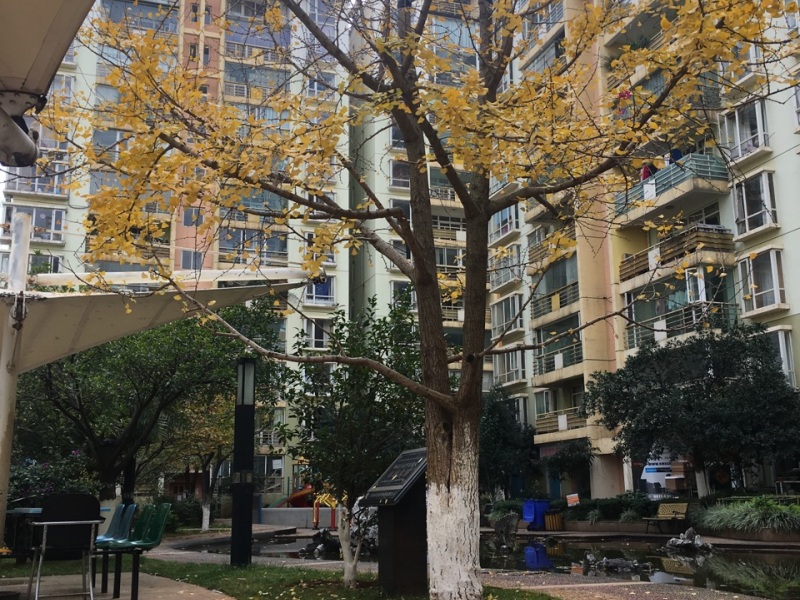 美麗家園其它