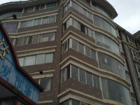 西城楓景其它